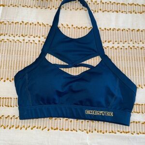 Chestee sport bra